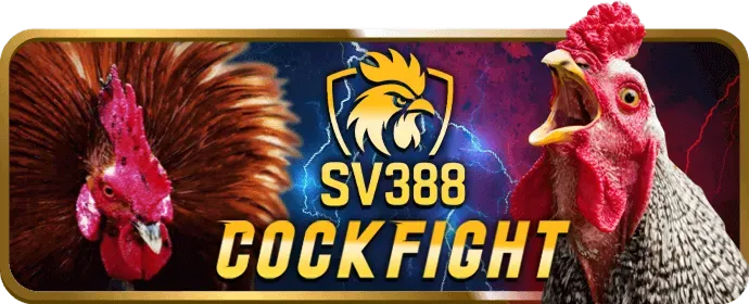 Dịch vụ hỗ trợ khách hàng 24/7 của loto288 link vào